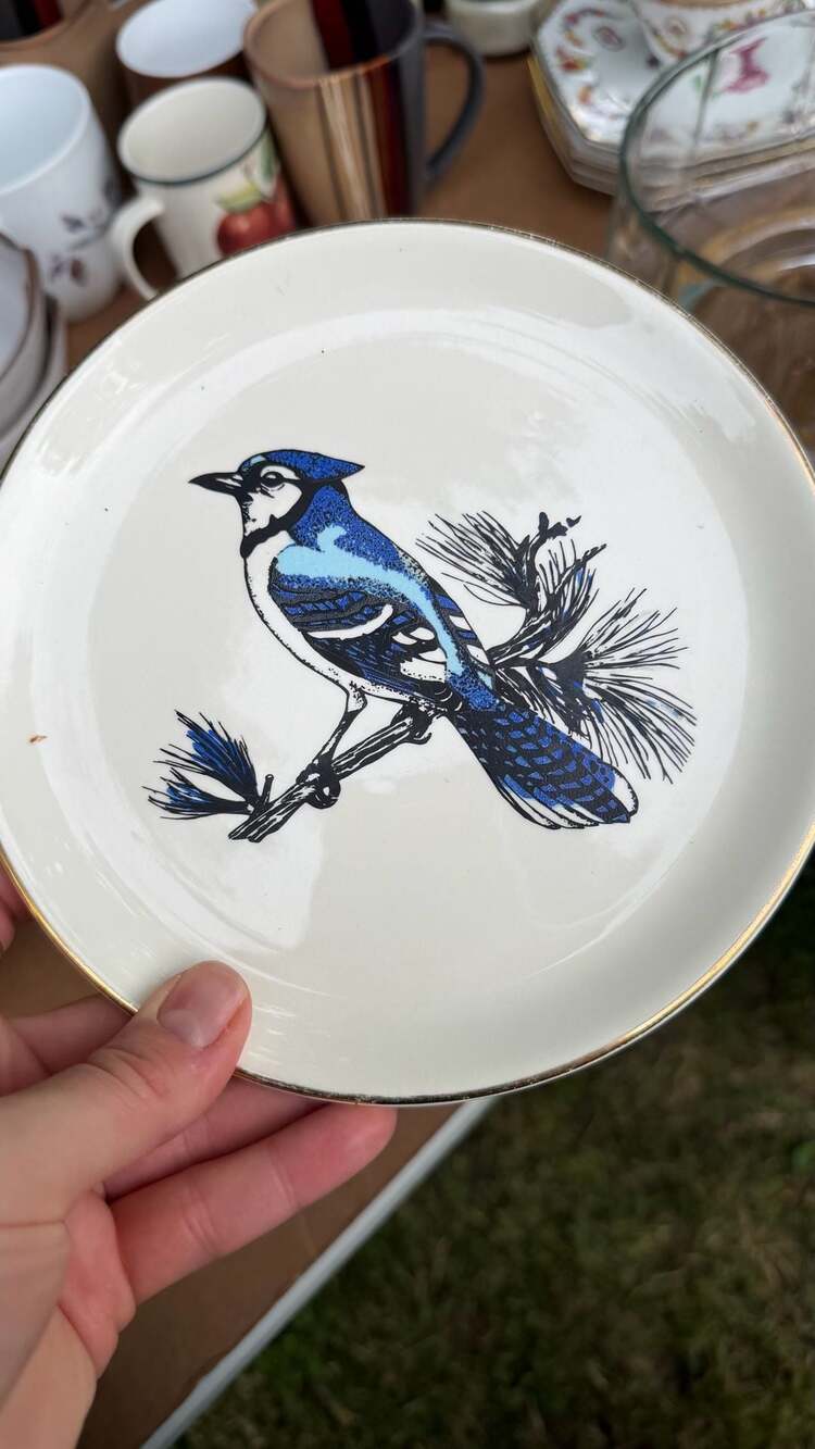 Vintage 1978 Order of the Eastern Star Commemorative Blue Jay Plate